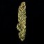 Royal Queen Seeds Seminte de canabis Royal Jack Auto