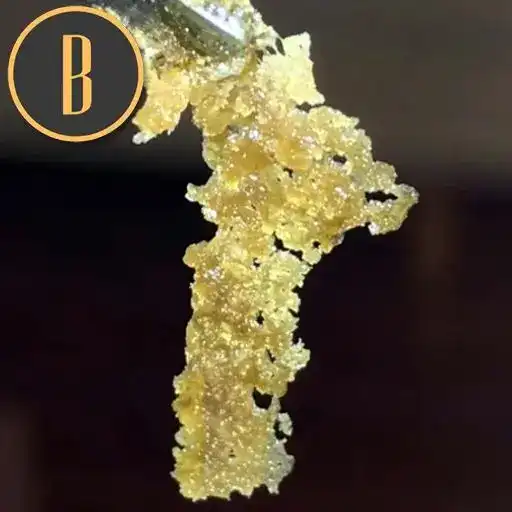 Blimburn Seeds Semi di Cannabis Green Crack Femminizzati