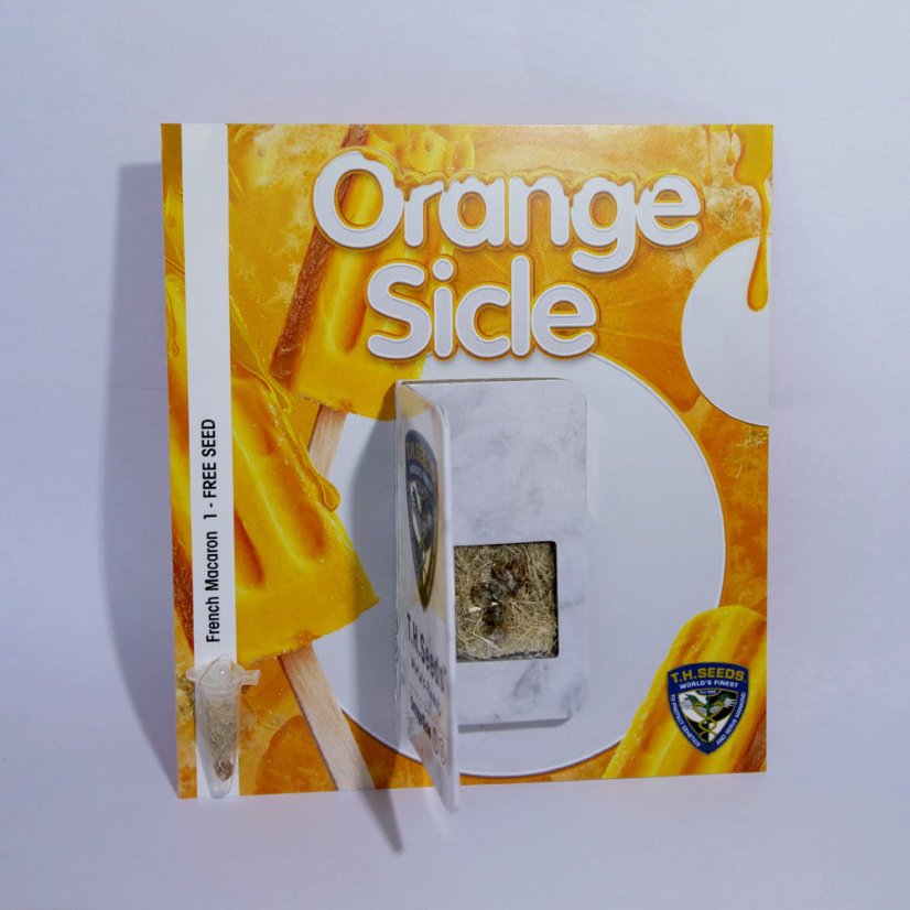 T.H.Seeds™ Cannabisfrø Orangesicle, 6+1 specialpakke, feminiseret