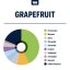 True Terpenes Grapefruit (5 ml - 960 ml)