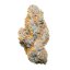 Royal Queen Seeds Seminte de canabis Apple Fritter Auto