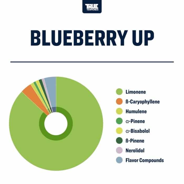 True Terpenes Blueberry Up (5 ml - 960 ml)
