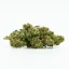 CBD Greenhouse Flower Sweet Mango 10 %, 1 g - 100 g