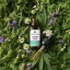 Herbican Ulei CBD spectru complet, 40%, 10 ml