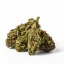 Euphoria CBD Weed Euphoria Citric, 100 g