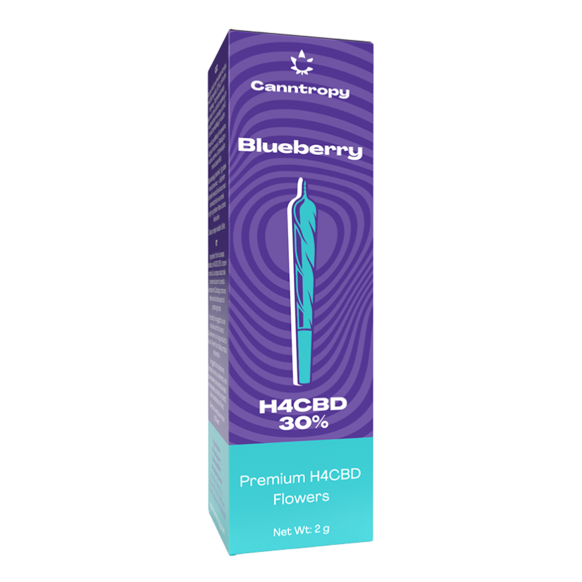 Canntropy H4CBD Prerolls Blaubeere, 30 % H4CBD, 1,5 g Canntropy H4CBD Prerolls Blaubeere, 30 % H4CBD, 1,5 g