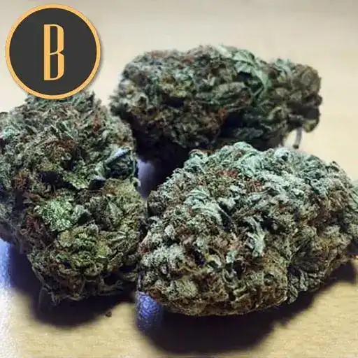 Blimburn Seeds Semi di Cannabis Green Crack Femminizzati