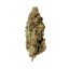 Royal Queen Seeds Seminte de canabis Royal Runtz feminizate