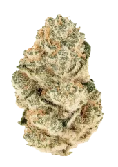 Fast Buds Sementes de Cannabis Gorilla Melon Feminizadas