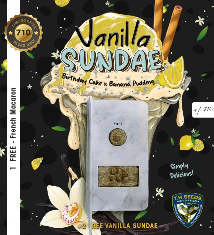 T.H.Seeds™ Seminte de canabis Vanilla Sundae, 710 Limited Special Pack, feminizate