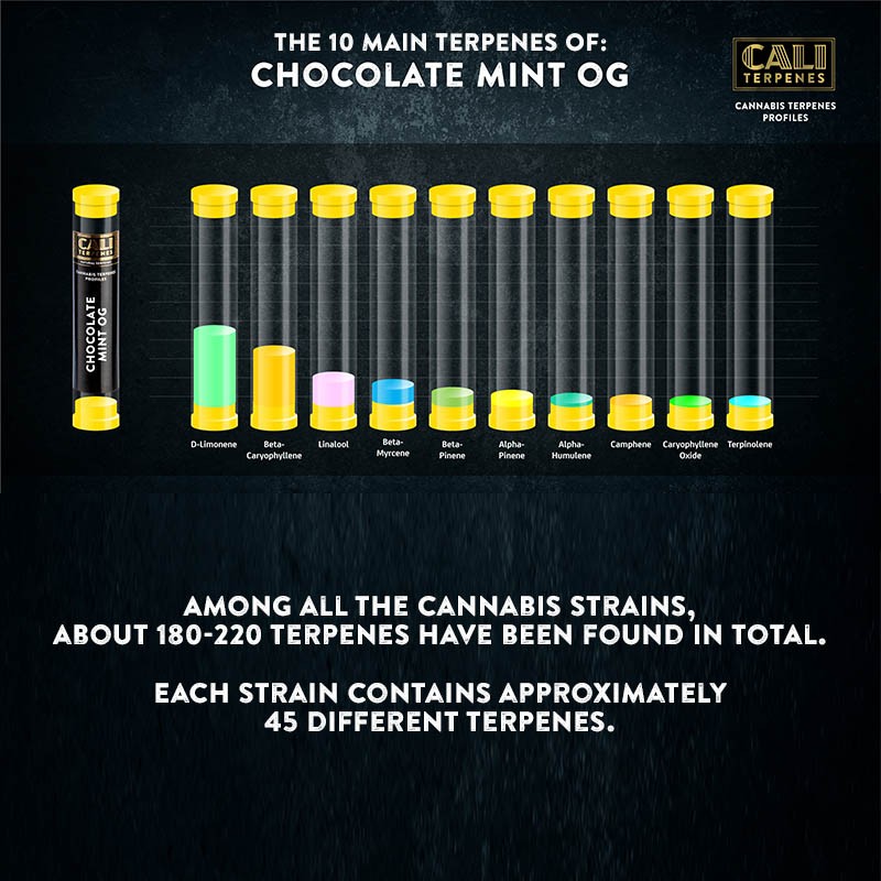 Cali Terpenes - ČOKOLÁDA MÁTA OG, 1 - 1000 ml
