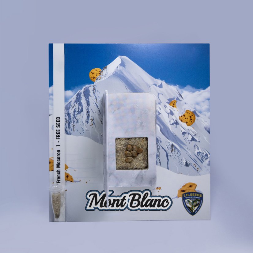 T.H.Seeds™ Cannabisfrø Mont Blanc, 6+1 specialpakke, feminiseret