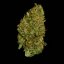 Royal Queen Seeds Семена от канабис Milky Way F1 Auto