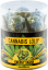 Cannabis Energy Skunk Lollies konopná lízátka - Dárkové balení (10 lízátek), 24 balení v boxu, 4320 g