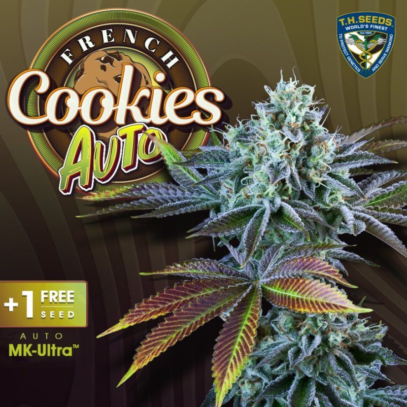 T.H.Seeds™ Seminte de canabis Auto French Cookies, pachet 6+1, feminizate