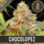 Blimburn Seeds Cannabisfrø Chocolopez feminiseret