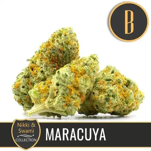 Blimburn Seeds Semi di Cannabis Maracuya di Nikki Swami's Femminizzati