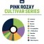 True Terpenes Cultivar Series Pink Rozay (5 ml - 960 ml)