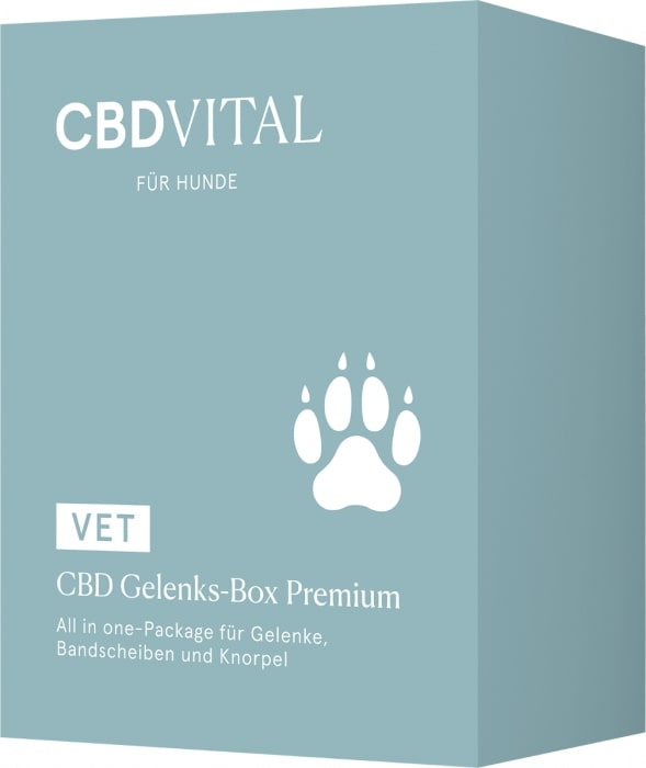 CBD Vital CBD Gelenks-Box Premium, (100 g)