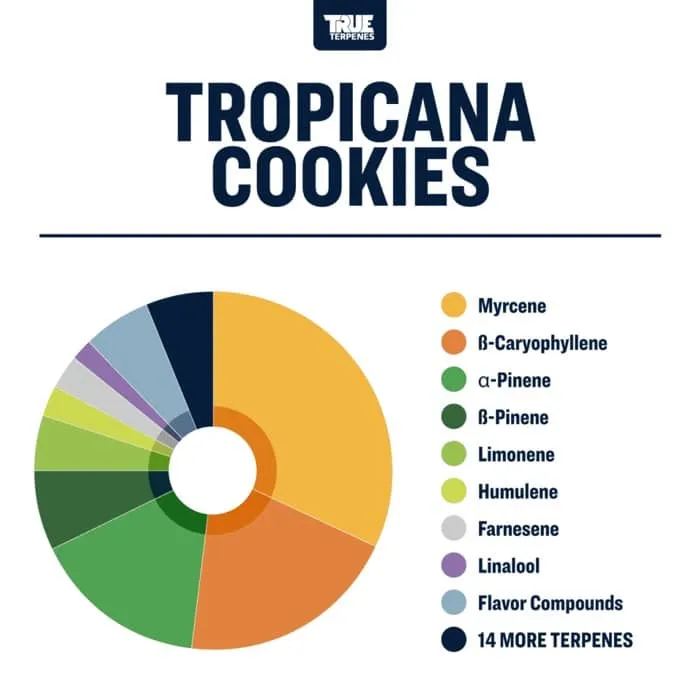 True Terpenes Biscuits Tropicana aromatisés (5 ml - 960 ml)