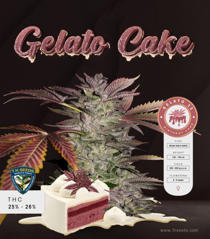 T.H.Seeds™ Cannabisfrø Gelato-kage, 6+1 specialpakke, feminiseret