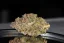 Fast Buds Автозаправка з насінням канабісу