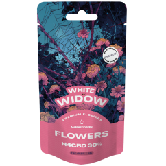 Canntropy H4CBD Blüte White Widow 30 %, 1 g - 100 g