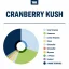 True Terpenes Tranebær Kush med smag (5 ml - 960 ml)