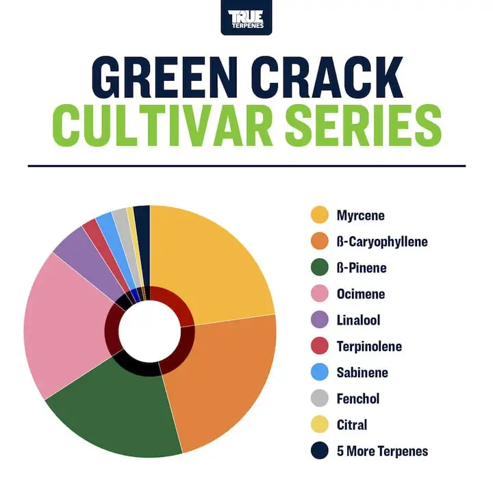 True Terpenes Cultivar Series Green Crack (5 ml - 960 ml)
