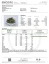 Fast Buds Cannabis Seeds Gorilla Cookies Auto