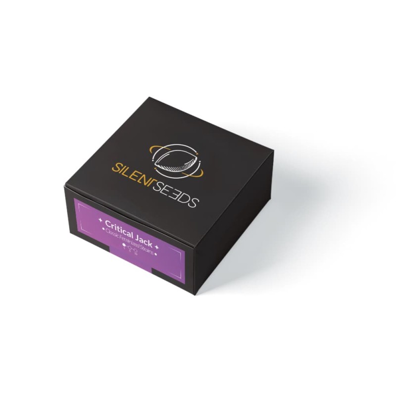 Silent Seeds Seminte de canabis clasice Critical Jack feminizate