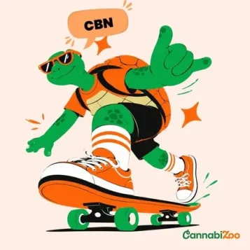 O que é o CBN? Efeitos e benefícios.