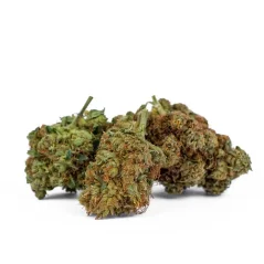 Euphoria CBD Weed Platinum Ringo's Gift, 100 g
