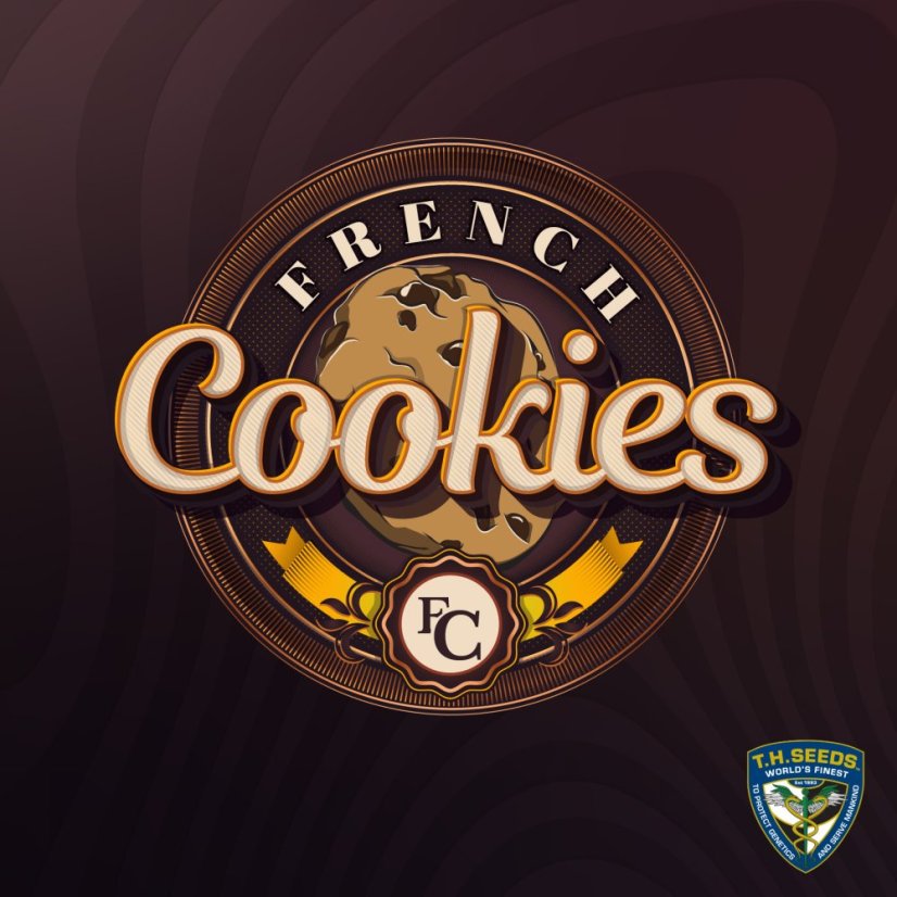 T.H.Seeds™ Semi di Cannabis French Cookies, 6+1 Confezione Speciale, femminizzati