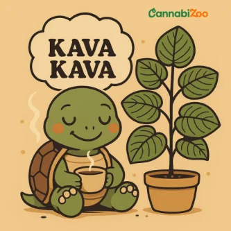 Oppdag Kava Kava, Stillehavets symbol på avslapning og eufori