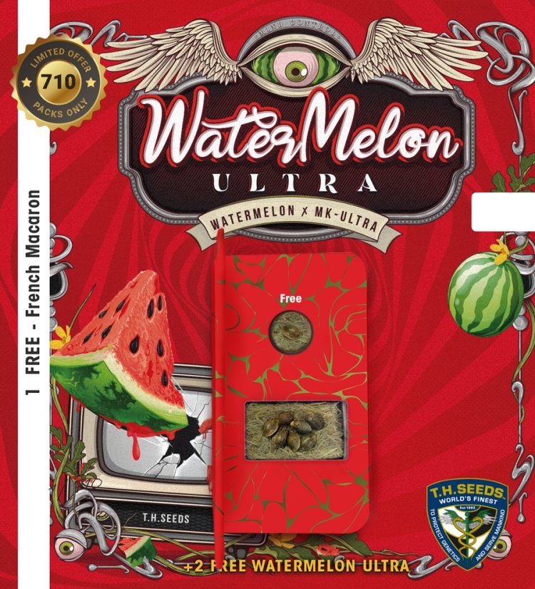 T.H.Seeds™ Seminte de canabis Watermelon Ultra, pachet special limitat 710, feminizate