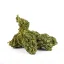 Euphoria CBD Weed Platinum Harle Tsu, 100 g