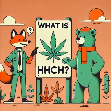 Un renard et un ours illustrés se tiennent devant un panneau avec une feuille de cannabis et le texte : Qu'est-ce que le HHCH ?