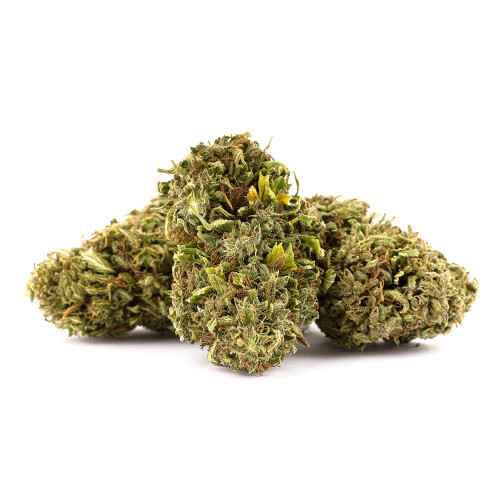 Euphoria T9HC Grape Kush flori vrac, 100 g