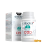 Cibdol měkké gelové kapsle 40% CBD, 4000 mg CBD, 60 kapsle