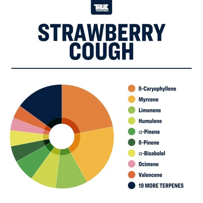 True Terpenes Βήχας με φράουλα με γεύση (5 ml - 960 ml)