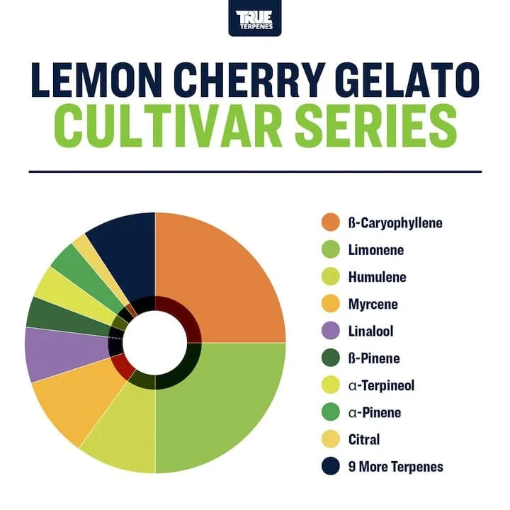 True Terpenes Cultivar Series Lemon Cherry Gelato (5 ml - 960 ml)