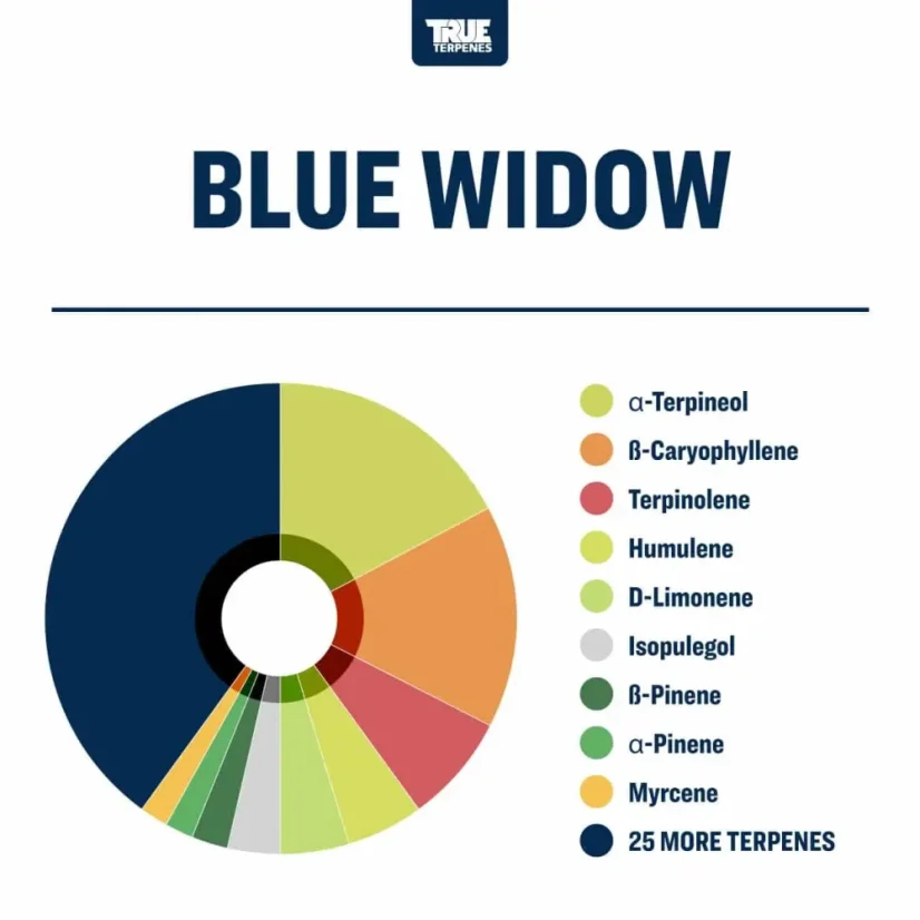 True Terpenes Blue Widow cu aromă infuzată (5 ml - 960 ml)