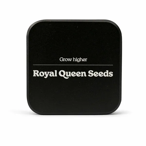 Royal Queen Seeds Μεταλλικός τετράγωνος μύλος, 2 μέρη, 55 χλστ