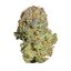 Royal Queen Seeds Seminte de canabis Fruit Spirit feminizate