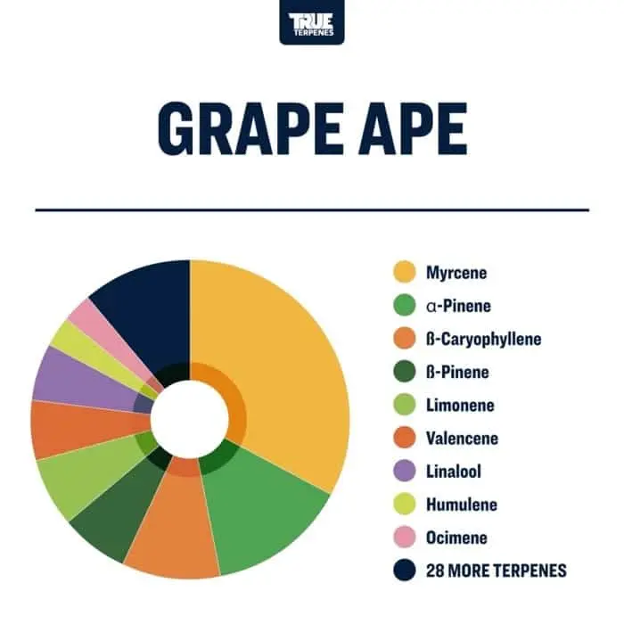 True Terpenes Flavor Infused Grape Ape (5 ml - 960 ml)