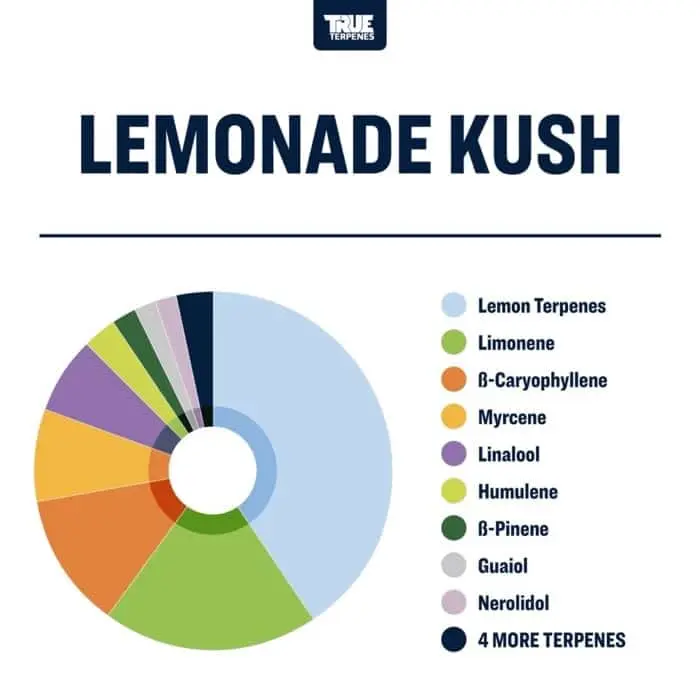 True Terpenes Flavor Infunded Lemonade Kush (5 ml - 960 ml)