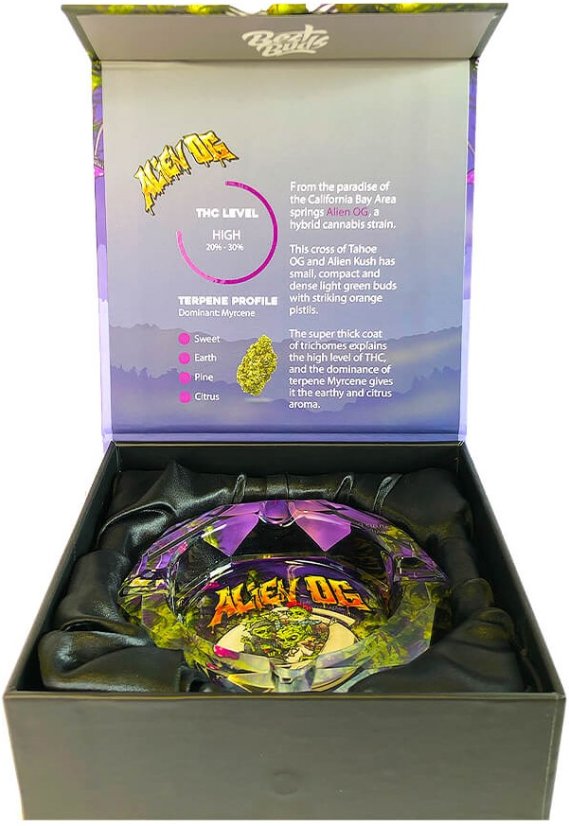Best Buds Kristallaschenbecher mit Geschenkbox, Alien OG