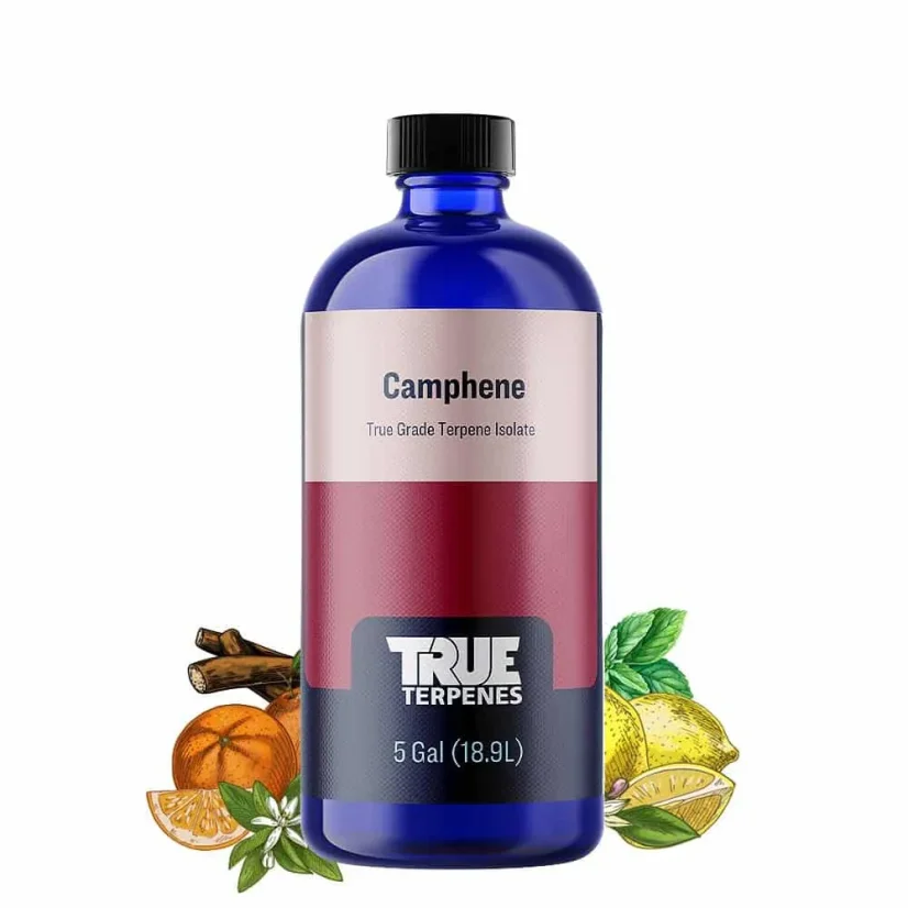 True Terpenes Terpen Isolates Camphene (5 ml - 960 ml)