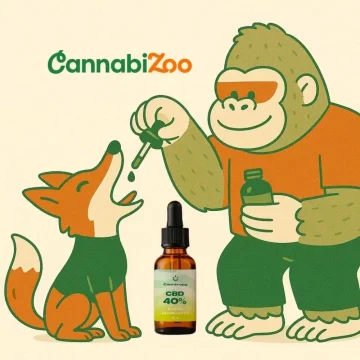 Le gorille fait couler de l'huile de CBD à l'aide d'un compte-gouttes dans la bouche du renard, huile de CBD Canntropy, avec le logo CannabiZoo.